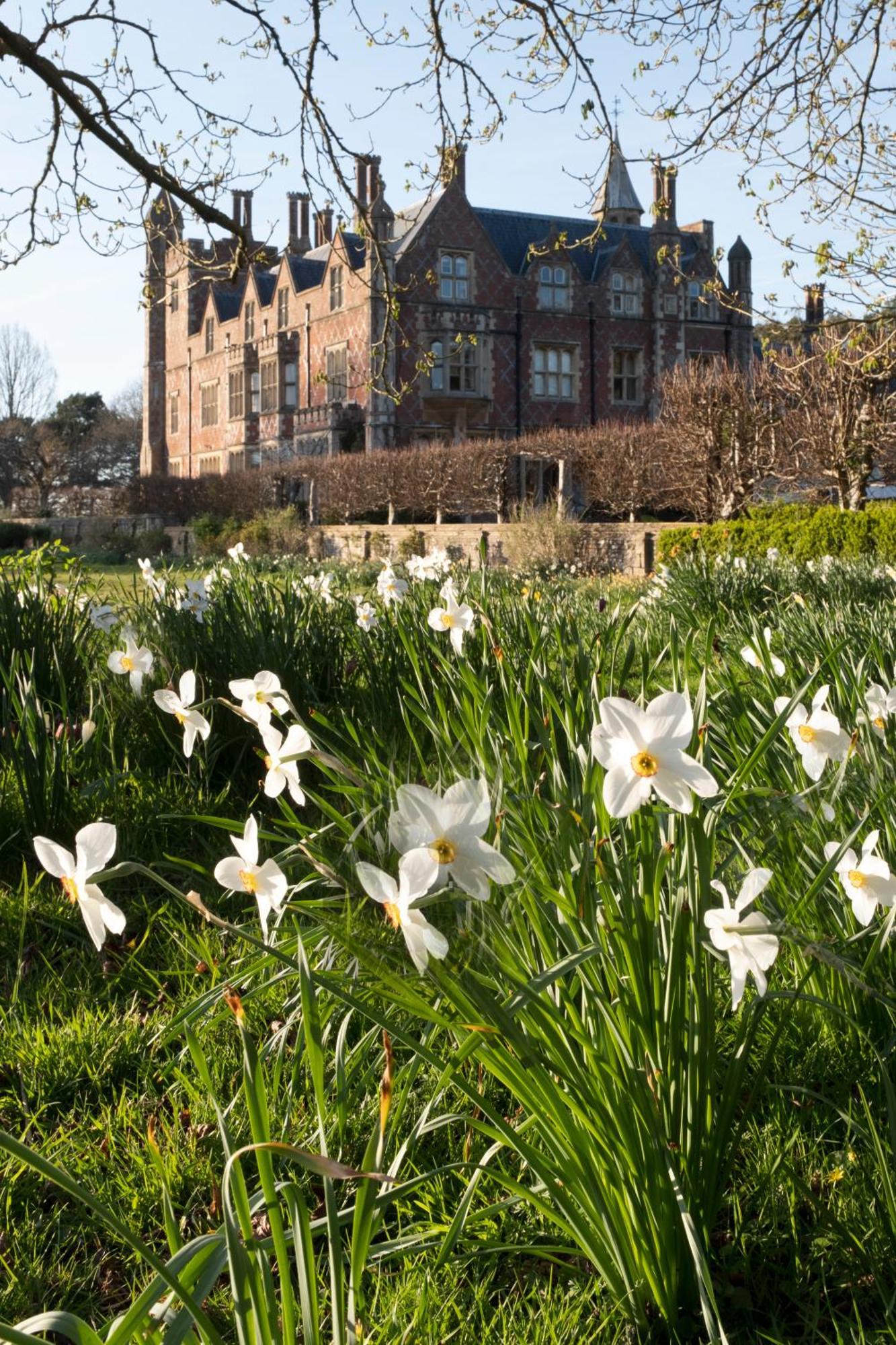 Horsted Place Hotel Uckfield Dış mekan fotoğraf